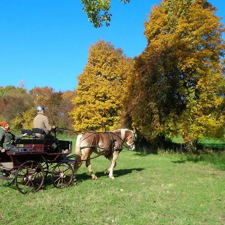 Aux 4 Saules De 4 Wilgen Bed & Breakfast Modave