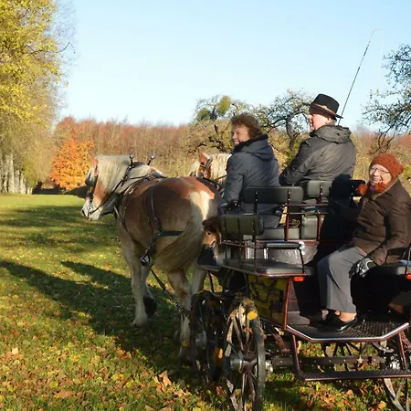Aux 4 Saules De 4 Wilgen 3* Modave